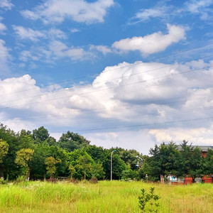 九九热中文字幕
